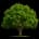 Trees Saved