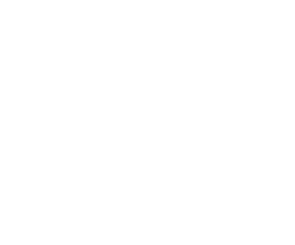 Vector